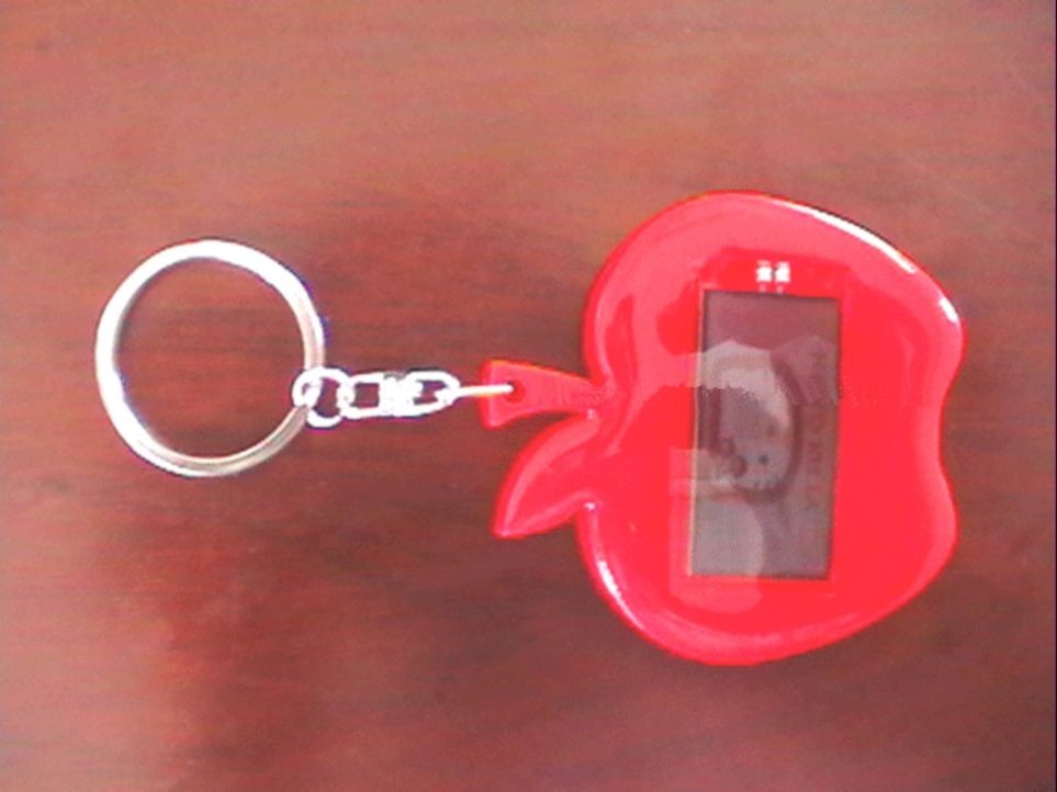 LCD Solar Schlüsselanhänger mit ein blinkende Bild LCD Solar Schlüsselanhänger mit ein blinkende Bild
